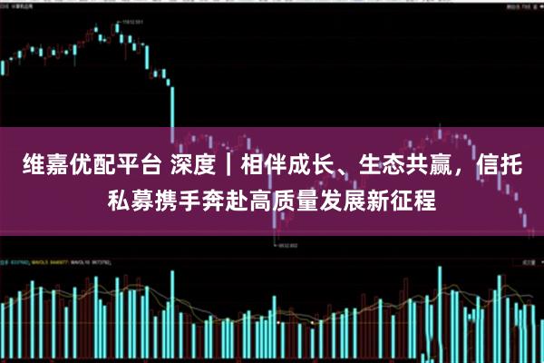 维嘉优配平台 深度｜相伴成长、生态共赢，信托私募携手奔赴高质量发展新征程