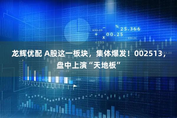 龙辉优配 A股这一板块，集体爆发！002513，盘中上演“天地板”
